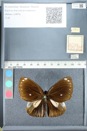 Media type: image;   Entomology 158408